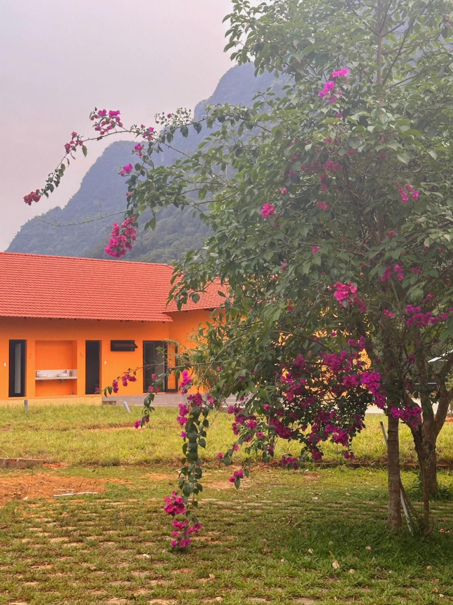 Phong Nha Eco Village Zewnętrze zdjęcie